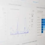 SEO Audit