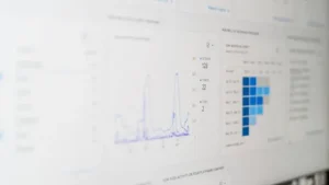 SEO Audit